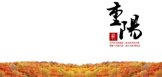 1537353099213781.jpg 微信图片_20180919183108.jpg